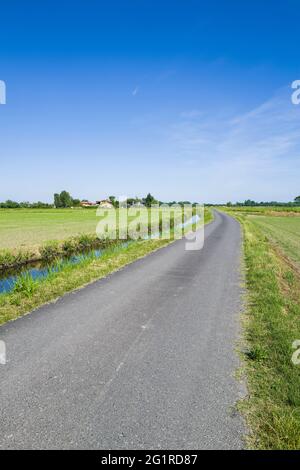 Italien, Lomellina, Barbavara, Reisfelder Stockfoto