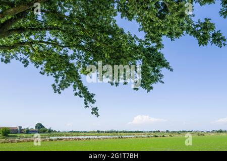 Italien, Lomellina, Barbavara, Reisfelder Stockfoto