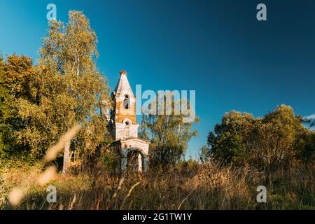 Martinovo, Beschenkowitschski Bezirk, Witebsk Gebiet, Weißrussland. Alte Ruinen Der Kirche Der Fürbitte Der Allerheiligsten Theotokos. Ruinen Der Altstadt Stockfoto