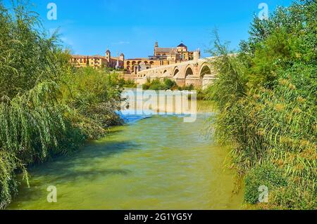 Der grüne Park am Ufer des Guadalquivir-Flusses, neben der römischen Brücke, mit Blick auf die Mezquita-Kathedrale (Moschee-Kathedrale) am gegenüberliegenden Ufer, Cord Stockfoto