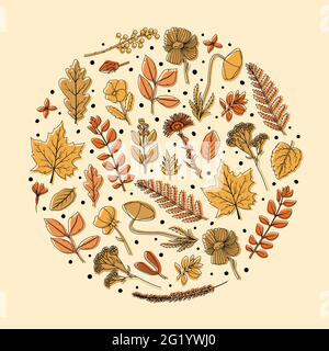 Ein runder Rahmen mit getrockneten Blättern und Blüten für das Herbarium. Strichkunst Stock Vektor
