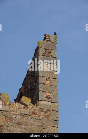 Jackdaw thront auf der Wheal Coates Tin Mine, Stamping und Winding Engine Houses. UNESCO-Weltkulturerbe. St. Agnes, North Cornwall, Großbritannien. Stockfoto