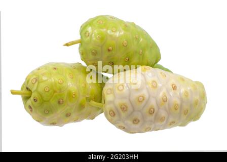 Oder Morinda Noni Früchte isoliert auf weißem Stockfoto