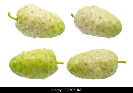 Oder Morinda Noni Früchte isoliert auf weißem Stockfoto