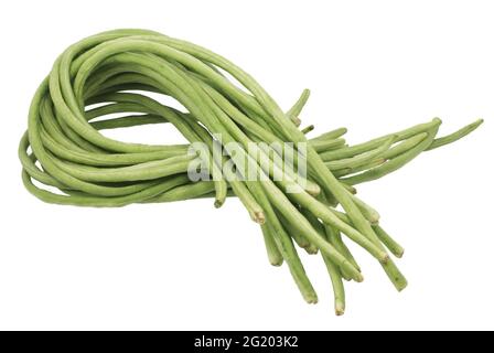 Yardlong Bohnen auf weißem Hintergrund Stockfoto
