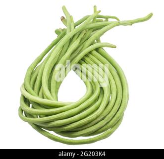 Yardlong Bohnen auf weißem Hintergrund Stockfoto