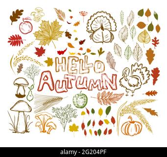 Hallo Herbst. Ein Set aus Herbstartikeln. Vektorgrafik Stock Vektor