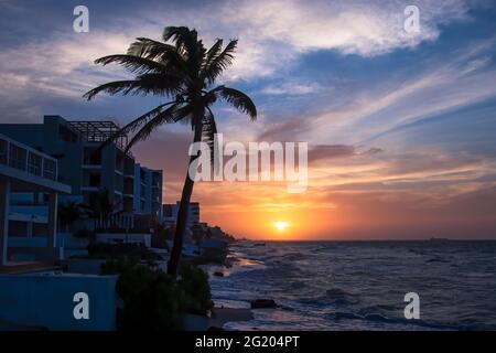Sonnenuntergang am Horizont über dem Atlantik, Silhouette des Strandes und eine hohe Palme. Stockfoto