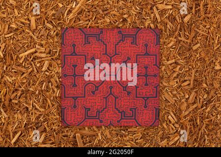 Shipibo-Muster und Ayahuasca-Rebe. Banisteriopsis caapi. Stockfoto