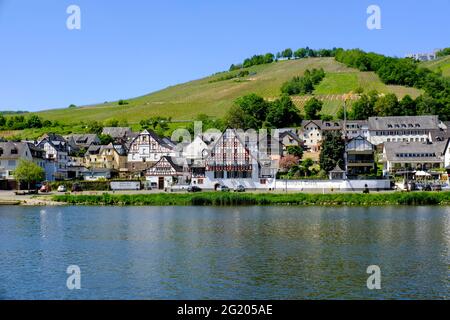 DEU, Deutschland, Rheinland-Pfalz, Zell, 31.05.2021: Blick von Zell an der Mosel über den Fluss auf den Ortsteil Kaimt mit praechtigen alten Fachwerk Stockfoto