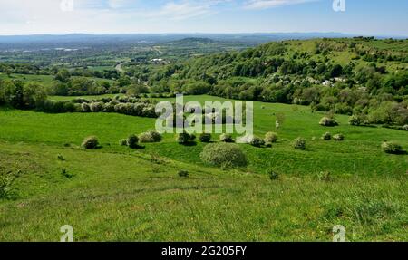 Auf einer Böschung oberhalb von Severn Val mit Blick über Gloucester in Richtung Malvern Hills, Gloucestershire, Großbritannien Stockfoto