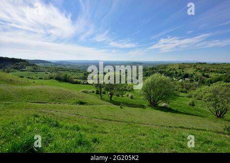 Bäume und Wanderwege auf grasbewachsenen Steilflächen oberhalb von Severn Val mit Blick über Gloucester in Richtung Malvern Hills, Gloucestershire, Großbritannien Stockfoto