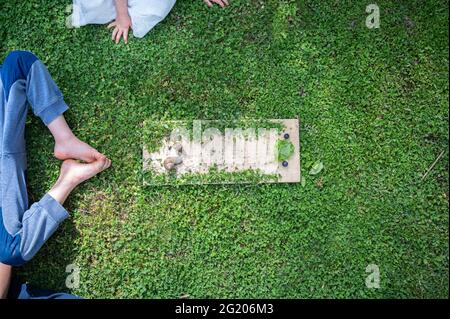 Draufsicht auf Kinder, die zwei Schnecken beobachten, die in Richtung Salat und Heidelbeeren rasen. Stockfoto