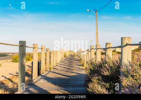 Holzwege mit Blick auf die Feuchtgebiete der Ria Formosa auf der Halbinsel Faro Beach, Faro, Algarve, Portugal Stockfoto