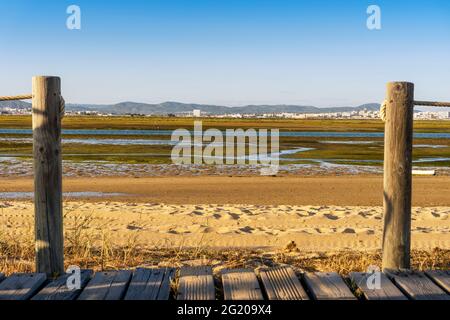 Holzwege mit Blick auf die Feuchtgebiete der Ria Formosa auf der Halbinsel Faro Beach, Faro, Algarve, Portugal Stockfoto