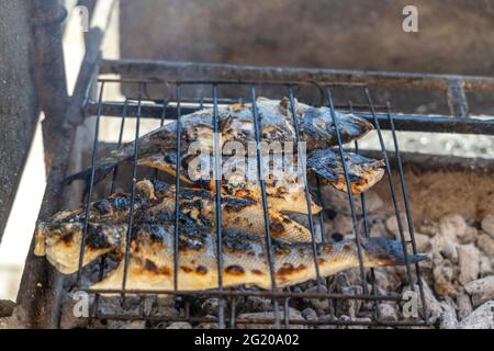 Köstlicher Seebarsch und goldener Fisch auf der Holzkohle in Portugal gegrillt Stockfoto