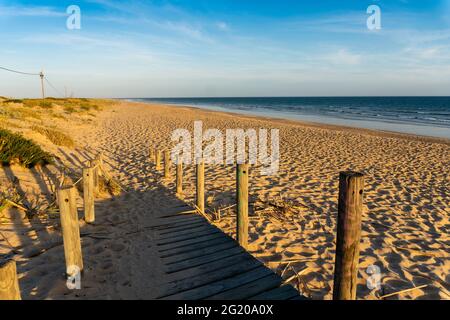 Breiter Sandstrand von Faro mit Dünen und Gehwegen am Sonnenuntergang, Faro, Algarve, Portugal Stockfoto