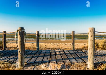 Holzwege mit Blick auf die Feuchtgebiete der Ria Formosa auf der Halbinsel Faro Beach, Faro, Algarve, Portugal Stockfoto