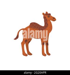 Ausgestorbene Tiere. Kamelops, westliches Kamel. Prähistorische ausgestorbene amerikanische einbuckige Kamele. Vektorgrafik im flachen Stil isoliert auf weißem Hintergrund Stock Vektor