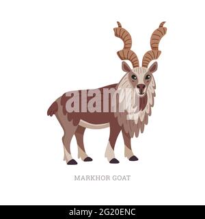 Sammlung seltener Tiere. Markhor-Ziege, Capra falconeri. National pakistanischen Tier, geschraubte Ziege. Flache Vektorgrafik isoliert auf Weiß Stock Vektor
