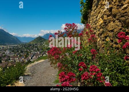 Landschaftsansicht der Stadt Sion, von den Weinbergen über der Stadt. Gedreht in Sion, Wallis, Schweiz Stockfoto