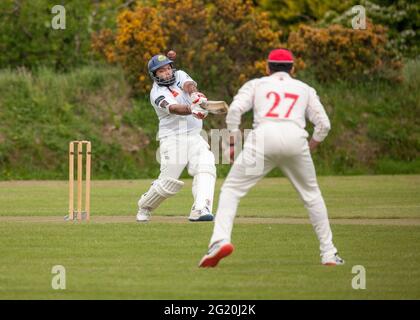 Farmers Cross, Cork, Irland. Juni 2021. In ihrem ersten Spiel seit anderthalb Jahren spielten Harlequins 3 Cork County 3 in einem freundlichen Warm-up-Spiel, bevor die Saison im Harlequin Park beginnt, Farmers Cross Cork. Das Bild zeigt den Batman Abdul Jabbar Younus aus dem Cork County im Wicket. - Credit; David Creedon / Alamy Live News Stockfoto