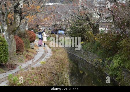 KYOTO, JAPAN - 10. Dez 2019: Kyoto, Japan- 24. Nov 2019: Touristen beobachten Herbstfarben entlang des Philosophenpfades in Kyoto. Stockfoto