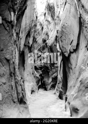 Schwarz-Weiß-Ansicht des Dry Fork Slot Canyon Stockfoto