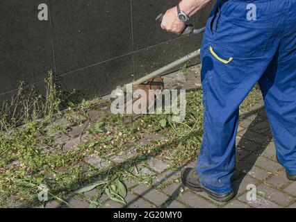 Ein Arbeiter im Overall mit einem Trimer in den Händen mäht das Gras auf dem Rasen und die Wege im Park. Gebietsbetreuung. Stockfoto