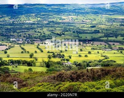 Grüne Felder, die durch Hecken und Bäume im Tal von Clwyd geteilt sind. Stockfoto