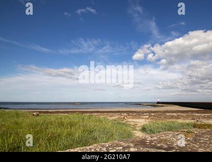 Der Eingang zum Hafen bei Berwick-upon-Tweed in Northumberland, Großbritannien Stockfoto