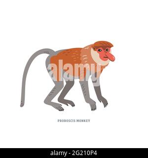 Proboscis-Affe. Nasalis Larvatus oder langnasiger Affe, in Indonesien als Bekantan bekannt, endemisch von Borneo. Cartoon-Tiere. Einfache bunte vecto Stock Vektor