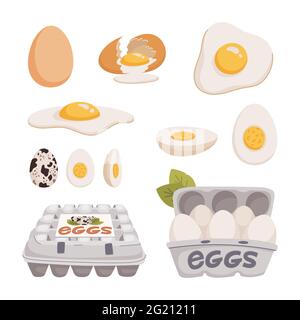 Set aus Hühner- und Wachteleiern in verschiedenen Formen roh, gekocht und gebraten und in Kartons. Bio-Landwirtschaftsprodukt, Öko. Zutat zum Kochen. Flacher Style Stock Vektor