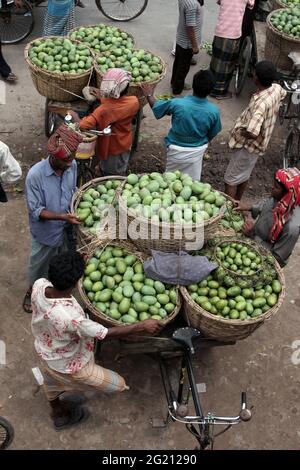 Händler aus verschiedenen Teilen des Landes kommen auf den Mangogroßmarkt im Kansat-Basar in Chapainwabganj, um Mangos zu kaufen. Chapainwabganj, Rajshahi, Bangladesch. 30.Mai 2009. Stockfoto