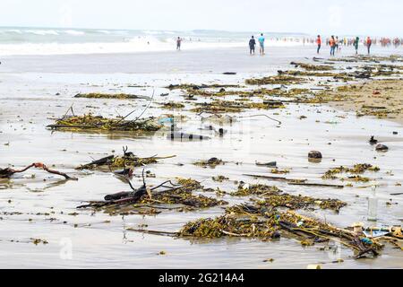 Verschmutzung des Strandes. Müll und Hausmüll verschmutzen den Strand. Müll ist eines der Probleme, die die Meeresumwelt betreffen. Stockfoto