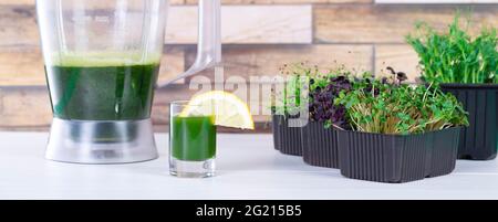 Microgreen Saft auf dem Küchentisch. Micro Greens in einem Mixer. Machen Sie zu Hause einen mikrogrünen Smoothie. Gesunde und biologische Lebensmittel. Stockfoto
