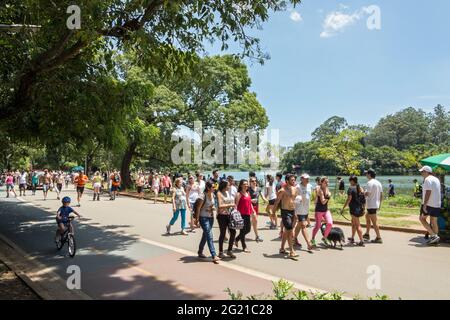 Ibirapuera Park an einem Sommertag, Sao Paulo, SP Brasilien Stockfoto