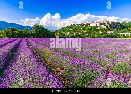 Sault, Provence - landschaftlich schönes Dorf auf einem Hügel mit Lavendelfeldern, Sommerurlaub in Frankreich Stockfoto
