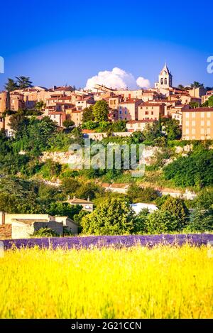 Sault, Provence - landschaftlich reizvoller Bergdorf mit Lavendel- und Getreidefeldern, Sommerurlaub in Frankreich Stockfoto