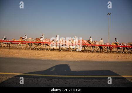 Der Trainer folgt in einem Jeep, während Jockeys junge Kamele auf DER AL Marmoom Camel Race Track, Dubai, VAE, trainieren Stockfoto