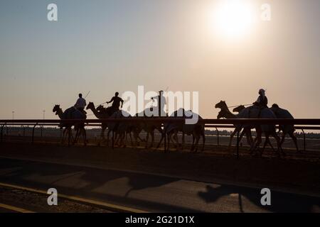 Silhouette von Jockeys, die junge Kamele auf der AL Marmoom Camel Race Track in Dubai, VAE trainieren Stockfoto