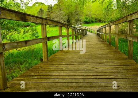 Eine hölzerne Fußgängerbrücke über Sumpfgebiete schafft einen erfrischenden, friedlichen Spaziergang durch eine malerische Waldgegend im ländlichen Westen von Michigan. Stockfoto