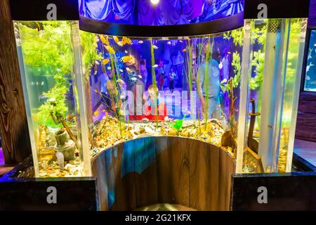 Fische schwimmen in einem Aquarium im Newport Aquarium in Newport, Kentucky, USA. Stockfoto