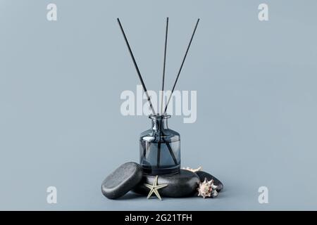 Reed-Diffusor mit Muscheln und Steinen auf farbigem Hintergrund Stockfoto