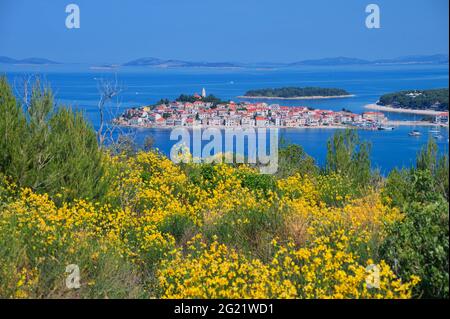Stadtbild der mediterranen Stadt auf klarem blauen Meer durch die gelben Feldblumen Stockfoto