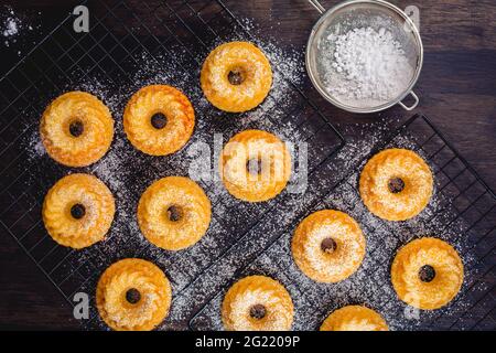 Gugelhupf – hausgemachter Zitronenkäsekuchen als gebundener Kuchen auf schwarzem Hintergrund Stockfoto