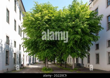 Halle, Deutschland. Juni 2021. Die Francke-Stiftungen in Halle bewerben sich zum zweiten Mal um den Titel UNESCO-Welterbe. Quelle: Stephan Schulz/dpa-Zentralbild/ZB/dpa/Alamy Live News Stockfoto