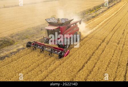 Suqian, China. Juni 2021. Die großen Landmaschinen ernten am 08. Juni 2021 das Weizenfeld in Suqian, Jiangsu, China.(Foto: TPG/cnsphotos) Quelle: TopPhoto/Alamy Live News Stockfoto