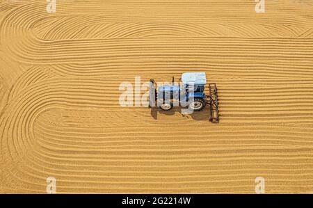 Suqian, China. Juni 2021. Die großen Landmaschinen ernten am 08. Juni 2021 das Weizenfeld in Suqian, Jiangsu, China.(Foto: TPG/cnsphotos) Quelle: TopPhoto/Alamy Live News Stockfoto