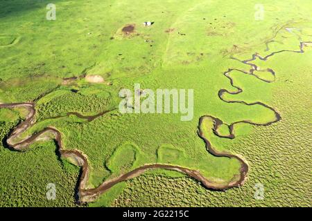 Yili, China. Juni 2021. Die Schönheit des Acar Flusses im Sommer in Yili, Xinjiang, China am 07. Juni 2021.(Foto: TPG/cnsphotos) Quelle: TopPhoto/Alamy Live News Stockfoto